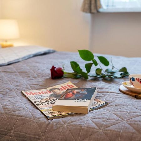 Central Bright Apartment كلوج-نابوكا المظهر الخارجي الصورة