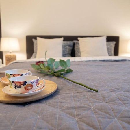Central Bright Apartment كلوج-نابوكا المظهر الخارجي الصورة