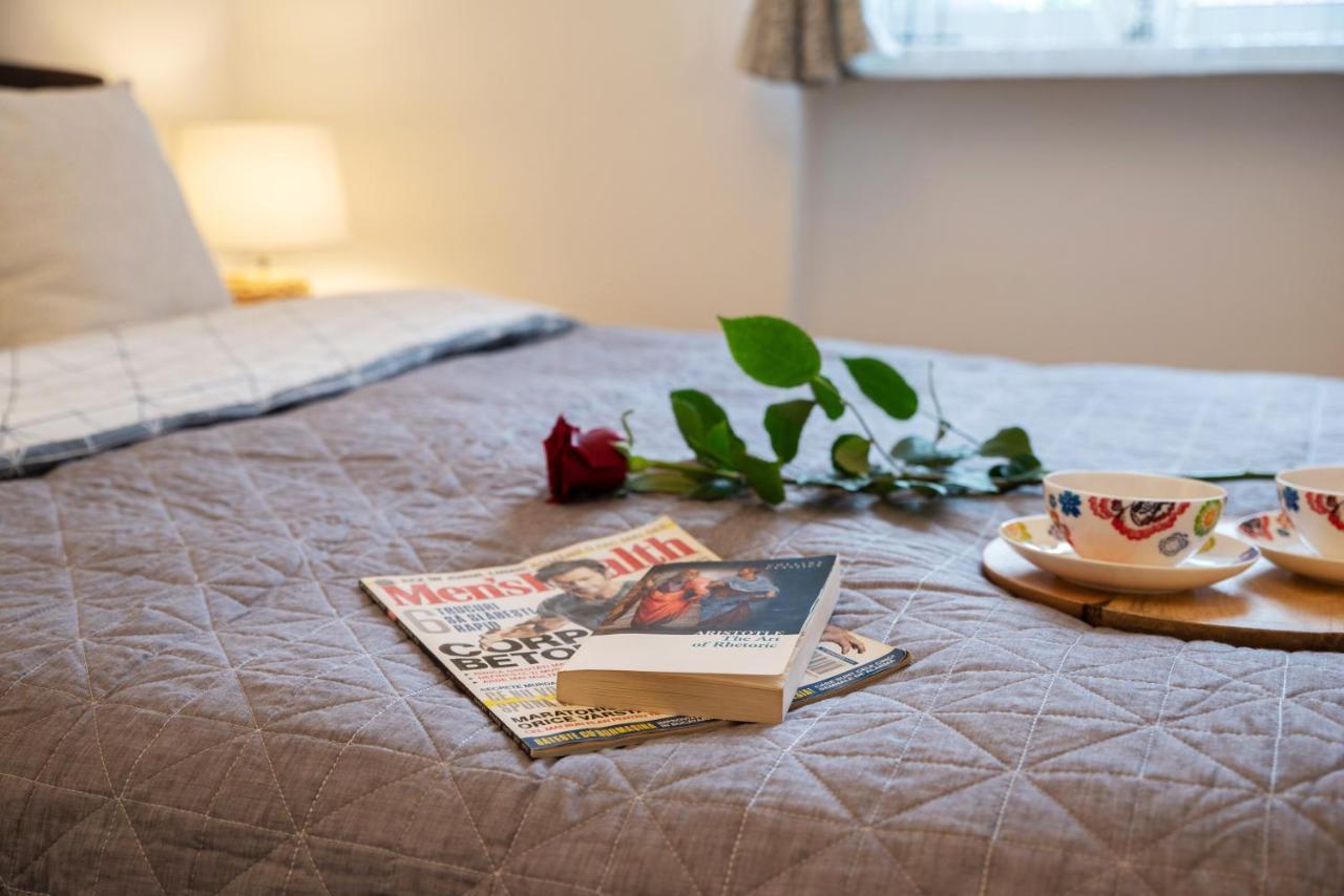 Central Bright Apartment كلوج-نابوكا المظهر الخارجي الصورة